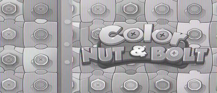 Color Nuts & Bolts Puzzle