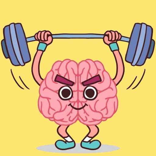 Perfect Brain 3D