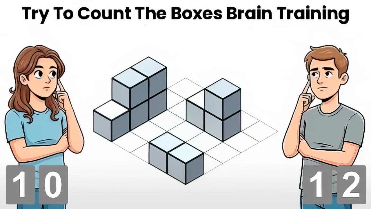 Try To Count The Boxes Brain Training