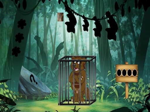Rescue The Toucan