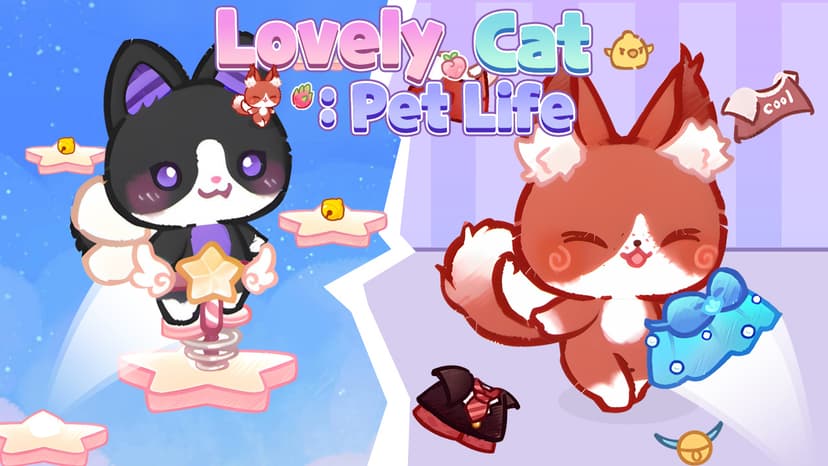 Lovely Cat Pet Life