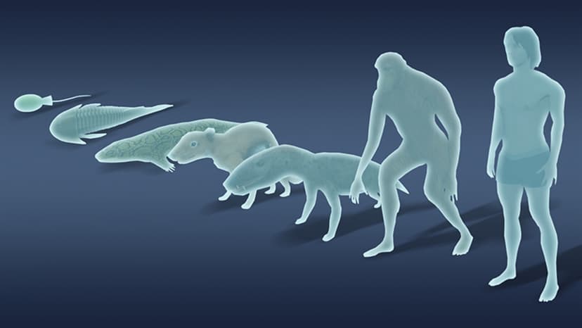 Idle Evolution From Cell to Human