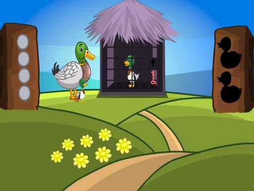 Placid Boy Escape