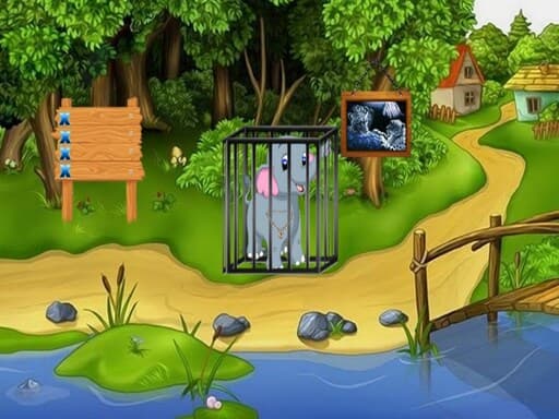 Dolphin Rescue