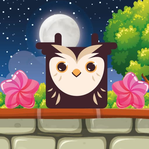 Owl Block